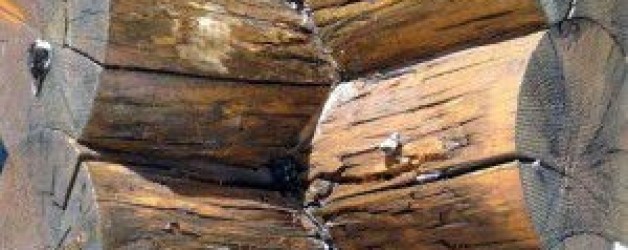 Prevention and Repairing Log Home Rot